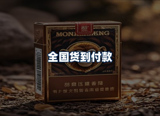 专业团队办公环境